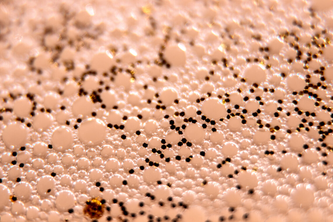 geopum tegseucheo