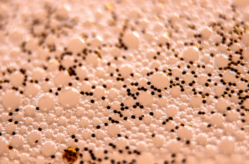 geopum tegseucheo