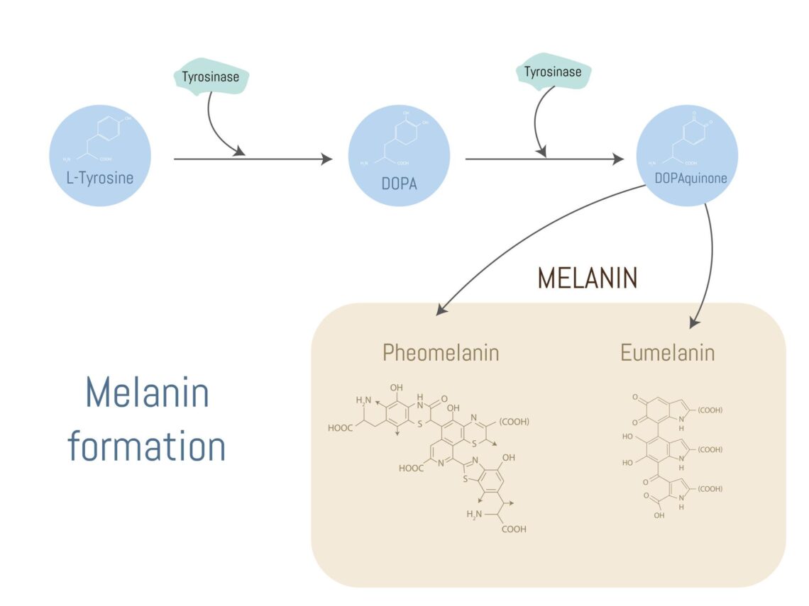 4aVeT6ajd5OfwC8BLrolMRBKURFZASH2 6kS6ow zTTA8RmtHwn1gYFZzVMAHd254YamPvXv8 ioSXrekO1jnoUuahbNdlW7sL8aO qtyMs