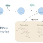 4aVeT6ajd5OfwC8BLrolMRBKURFZASH2 6kS6ow zTTA8RmtHwn1gYFZzVMAHd254YamPvXv8 ioSXrekO1jnoUuahbNdlW7sL8aO qtyMs