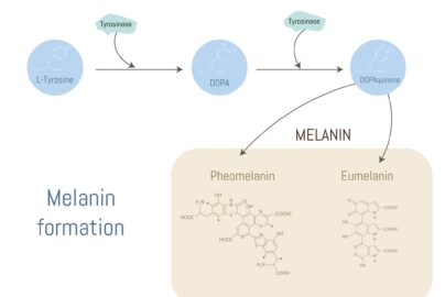4aVeT6ajd5OfwC8BLrolMRBKURFZASH2 6kS6ow zTTA8RmtHwn1gYFZzVMAHd254YamPvXv8 ioSXrekO1jnoUuahbNdlW7sL8aO qtyMs
