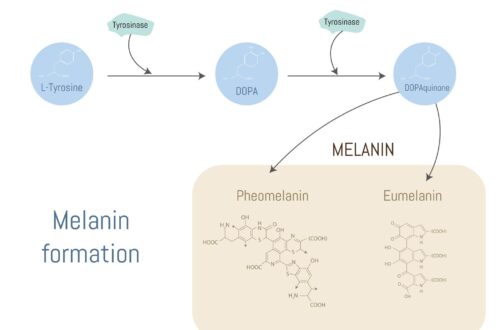 4aVeT6ajd5OfwC8BLrolMRBKURFZASH2 6kS6ow zTTA8RmtHwn1gYFZzVMAHd254YamPvXv8 ioSXrekO1jnoUuahbNdlW7sL8aO qtyMs